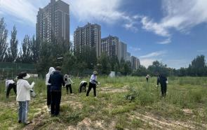 呼和浩特市农牧业综合行政执法支队开展为民办实事清除蒿草和垃圾义务劳动