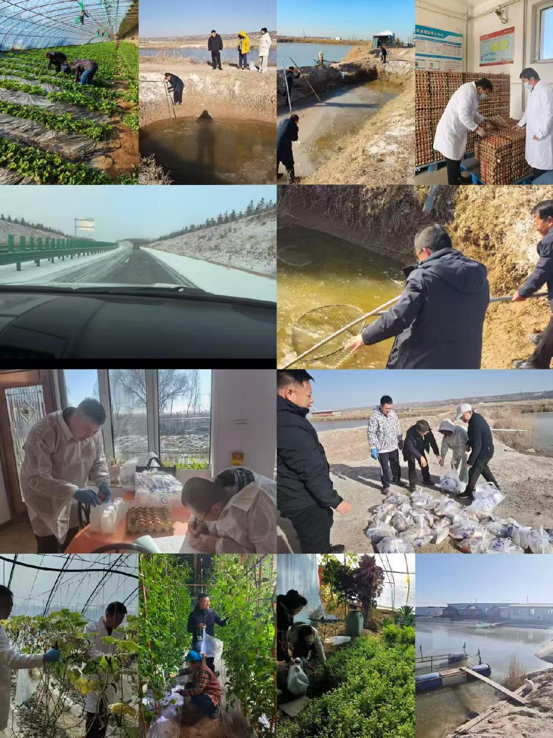 安全中心打赢“抽送样”突击战，齐心协力跑出业务“加速度”