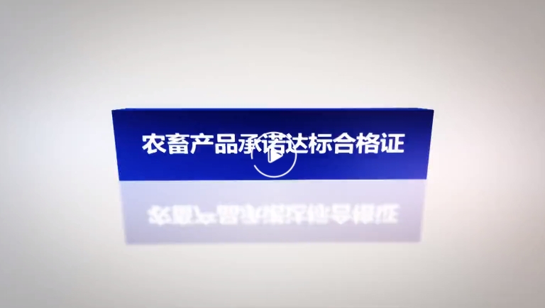 承诺达标合格证