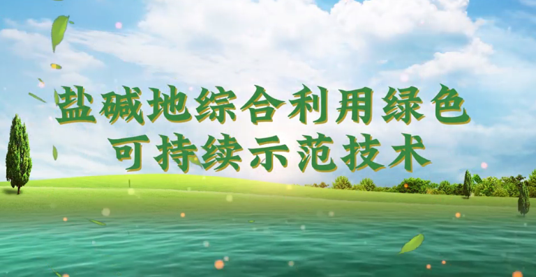 盐碱地综合利用绿色可持续示范技术