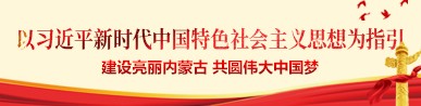 热烈庆祝党的十九大胜利召开